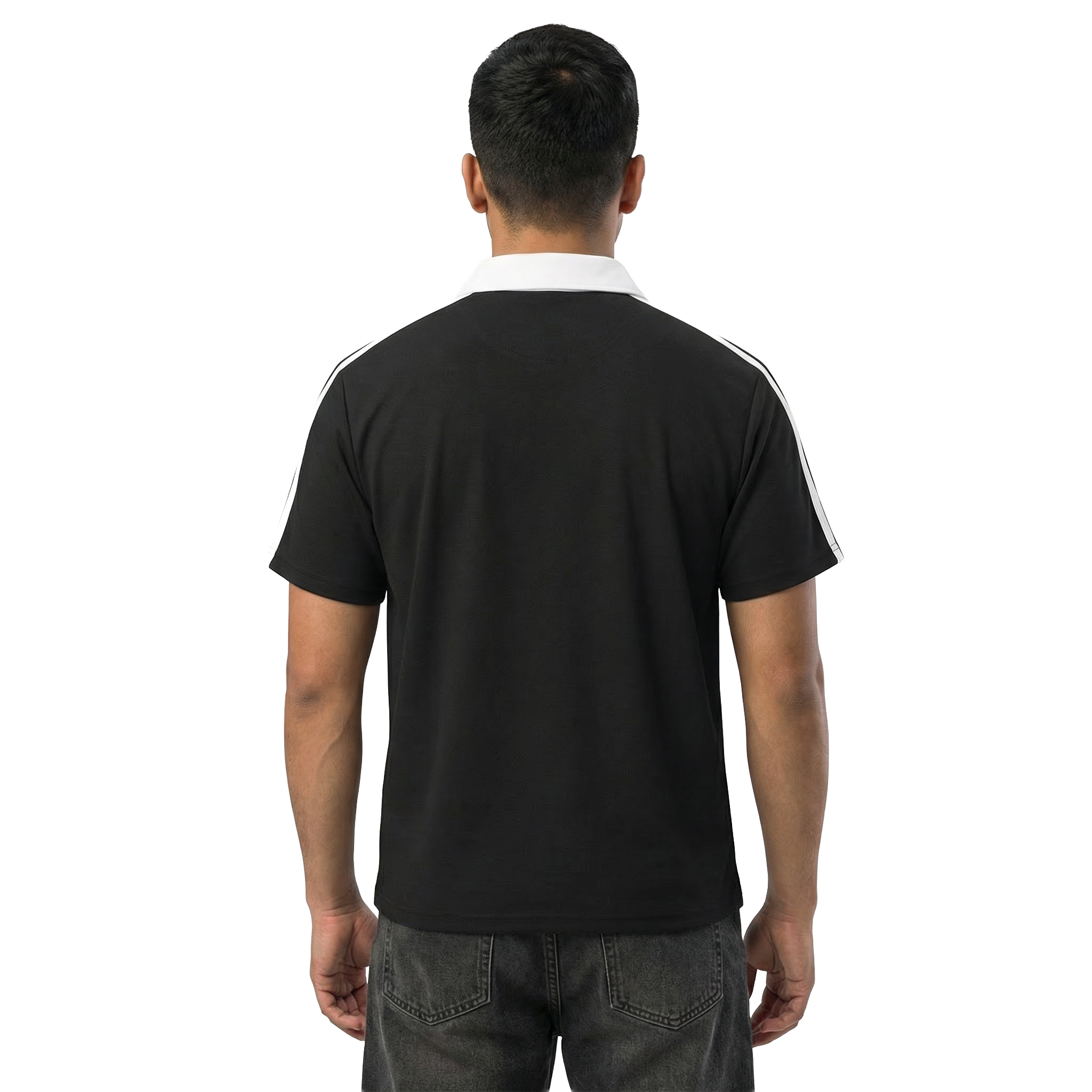 POLO V2