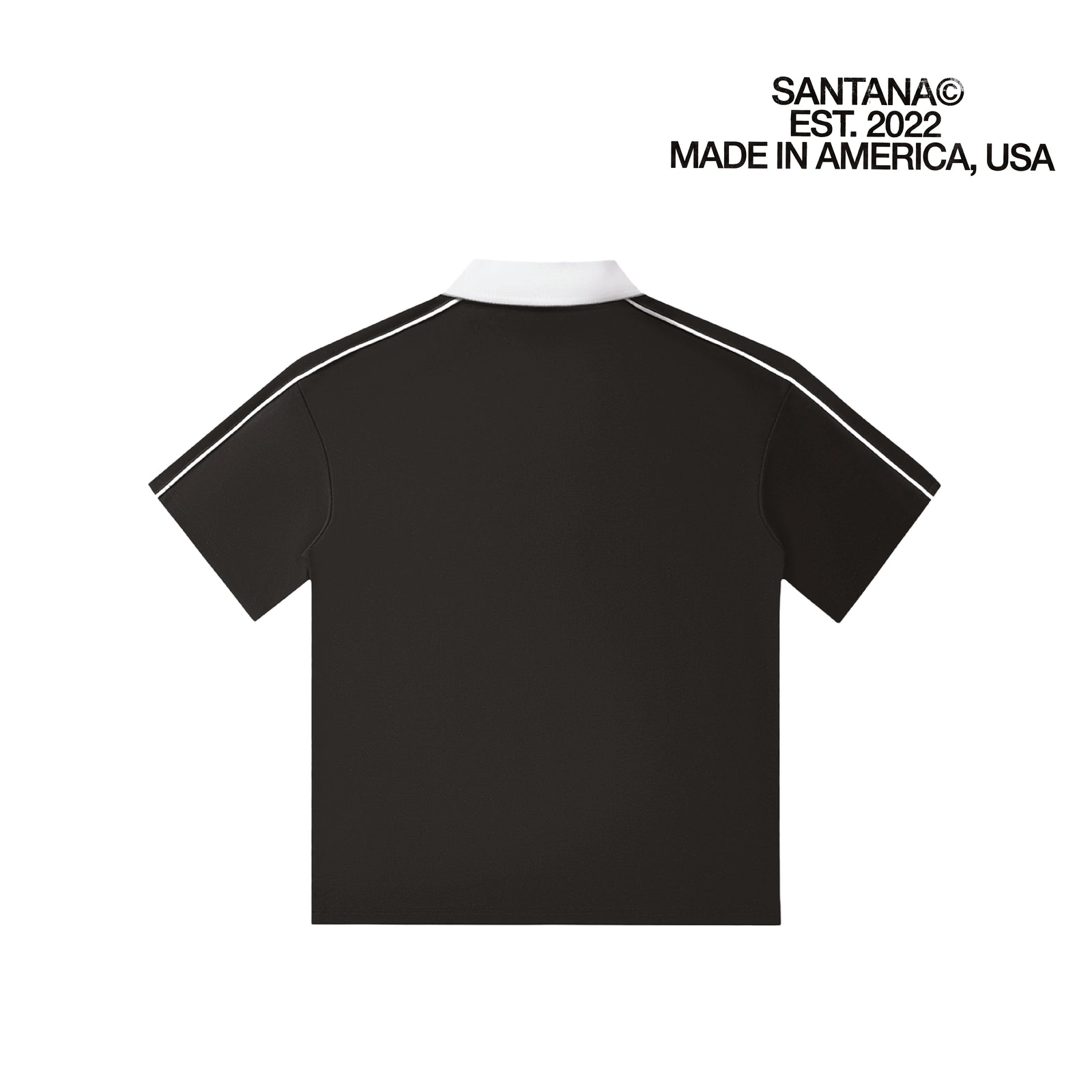 POLO V2