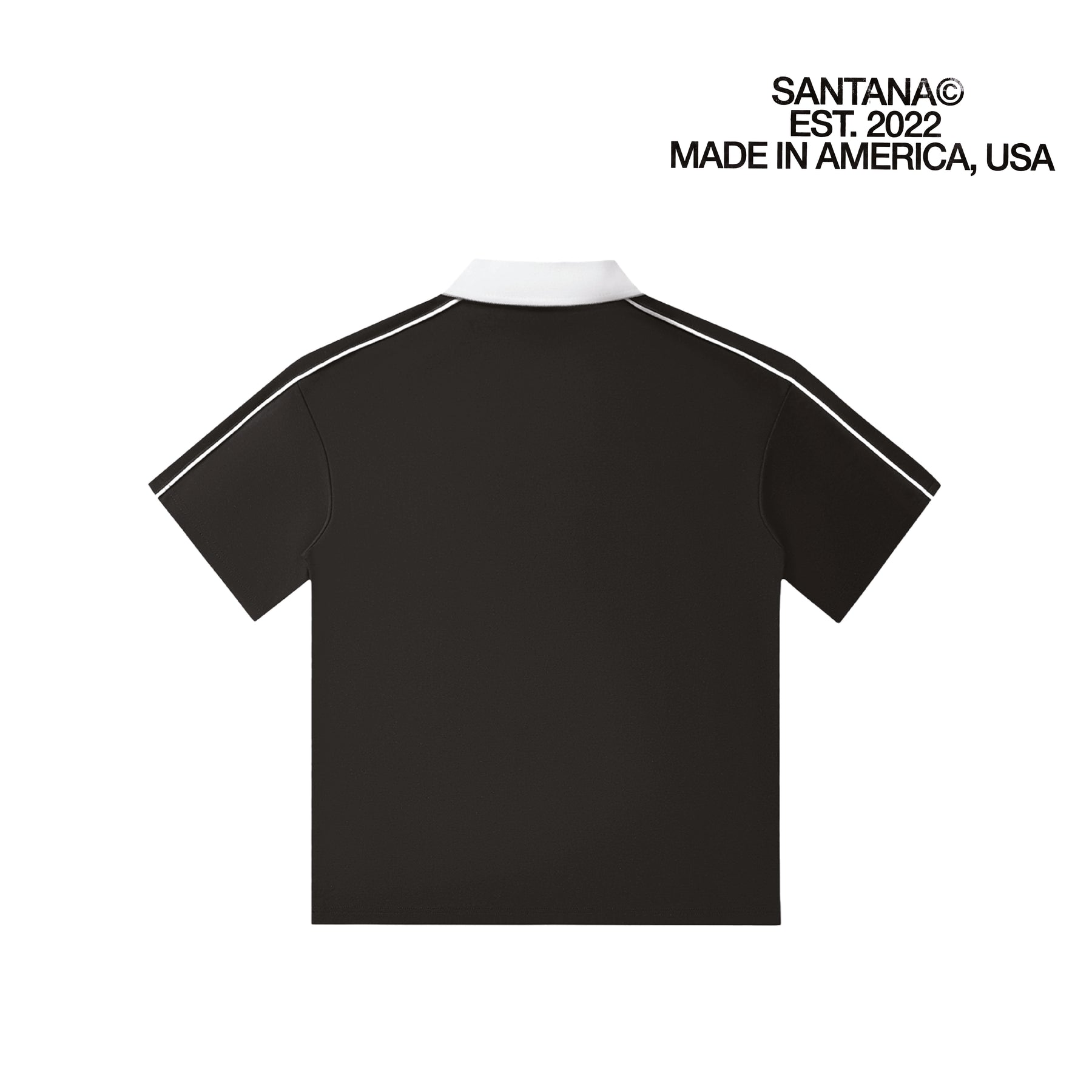 POLO V2